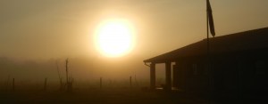 Foggy sunrise at the school