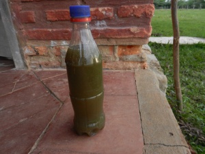 Bottle of mosto, a sugar-water drink made from crushed sugar cane. VERY sweet!