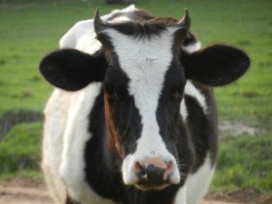 She's much more tranquilo than her Devil horns would have you believe.