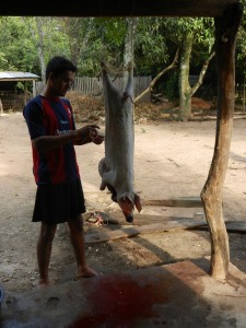 The family's only son dressing a freshly killed pig.