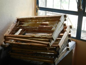 Honeycomb cut from all 10 frames, now ready to be returned to the box and the bees