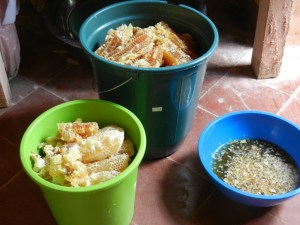 Honey harvest! Fresh, beautiful, delicious honeycomb and honey made from jasmine flowers...the best I've ever tasted!