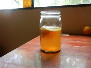My first successful attempt at kombucha - (green chai and peach teas with lemongrass from the garden)