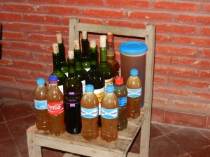 Honey- jasmine harvest 016